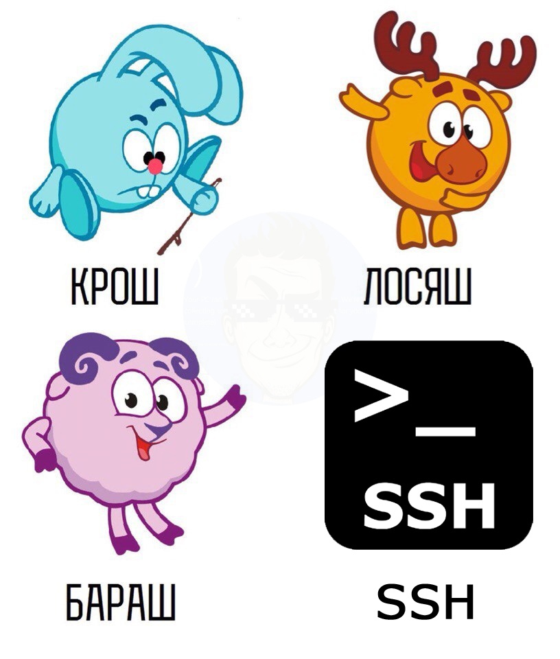 ssh-mem.jpg