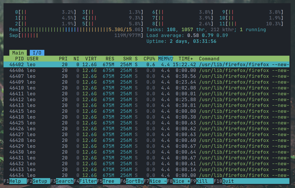 htop.png